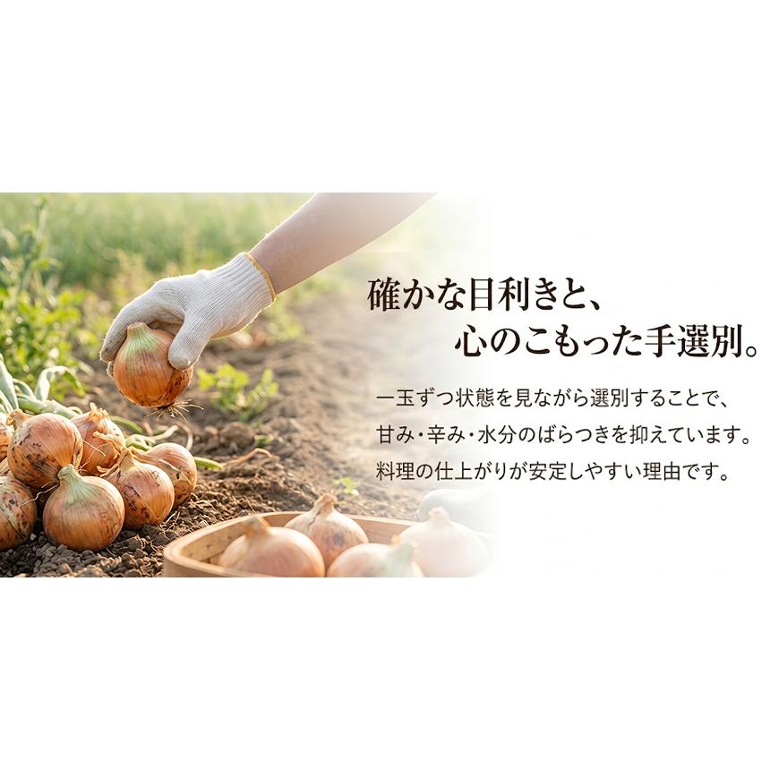 たまねぎ 訳あり かくし玉 2kg 淡路島 2セット以上購入で増量 玉ねぎ