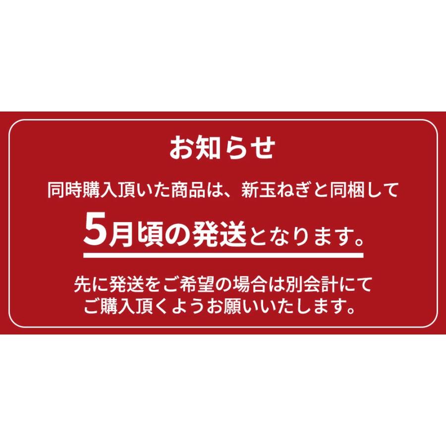 新たまねぎ 淡路島 訳あり たまねぎ 2kg かくし玉 玉ねぎ 玉葱 新玉葱 新玉ねぎ 新玉 今井ファーム 2セット以上購入で増量 ＃(訳)かくし玉2kg【購入特典】＃｜imaifarm｜21