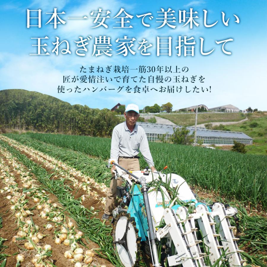 ハンバーグ お取り寄せ 冷凍 150g×10個 淡路島玉ねぎ使用 贈答 ギフト ＃淡路島ハンバーグ10個＃｜imaifarm｜07