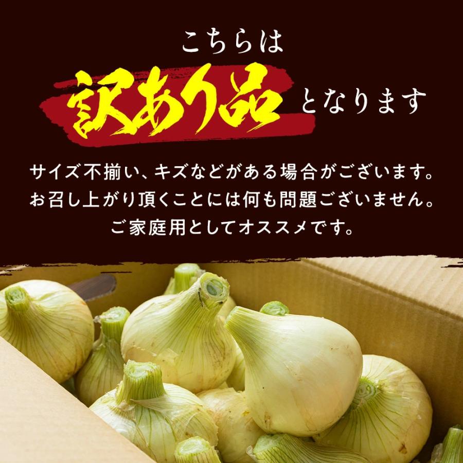 新たまねぎ 淡路島 訳あり たまねぎ 5kg かくし玉 玉ねぎ 玉葱 新玉葱 新玉ねぎ 新玉 今井ファーム ＃かくし玉訳あり5Ｋ＃｜imaifarm｜03