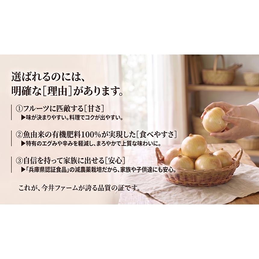 玉ねぎ 訳あり 淡路島 5kg かくし玉＃かくし玉訳あり5K＃ : 淡路島