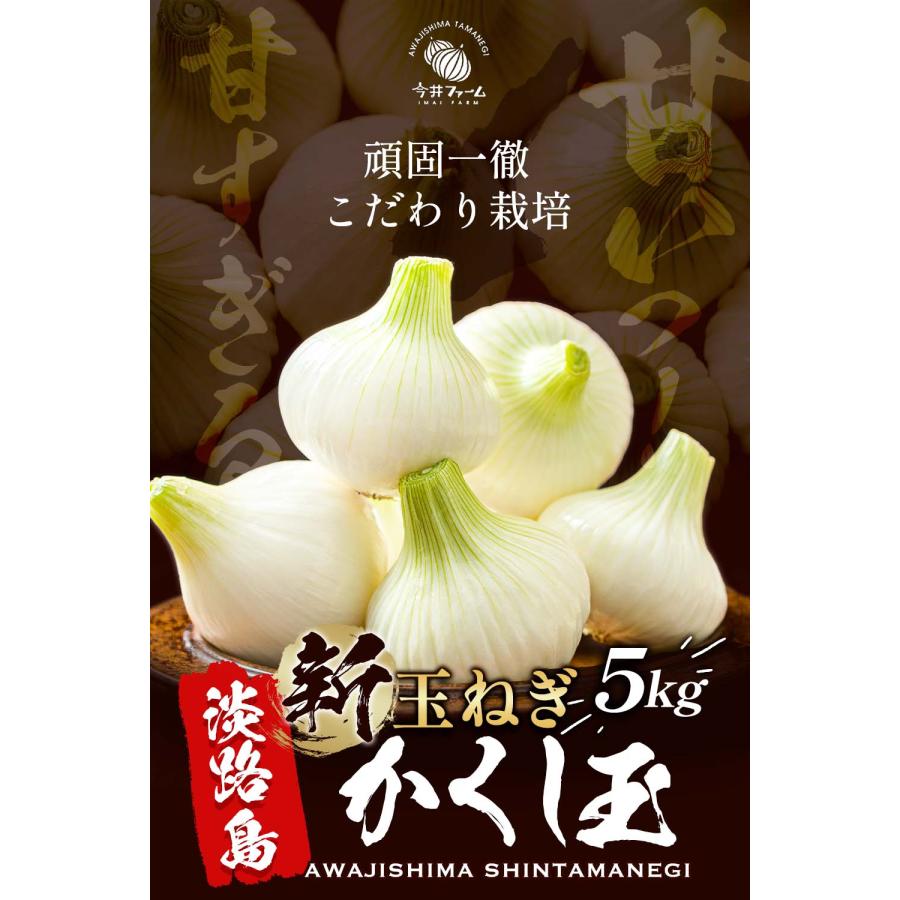 新玉ねぎ 淡路島 玉ねぎ 5kg かくし玉 【予約】【5月頃より順次発送