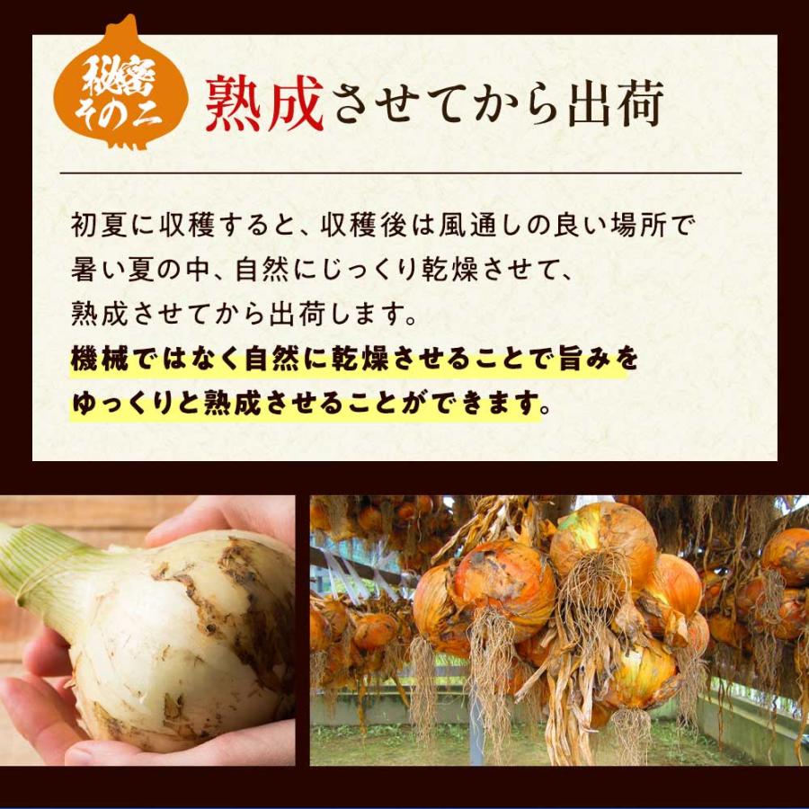 玉ねぎ 5kg たまねぎ 淡路島 かくし玉 玉葱 今井ファーム＃かくし玉 5Ｋ＃ 爆買 |  | 08