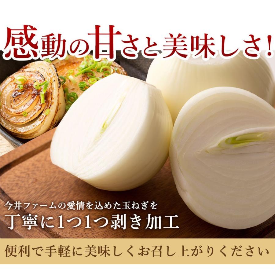今井ファームの淡路島たまねぎ2kgとたまねぎ加工品のお試しセット