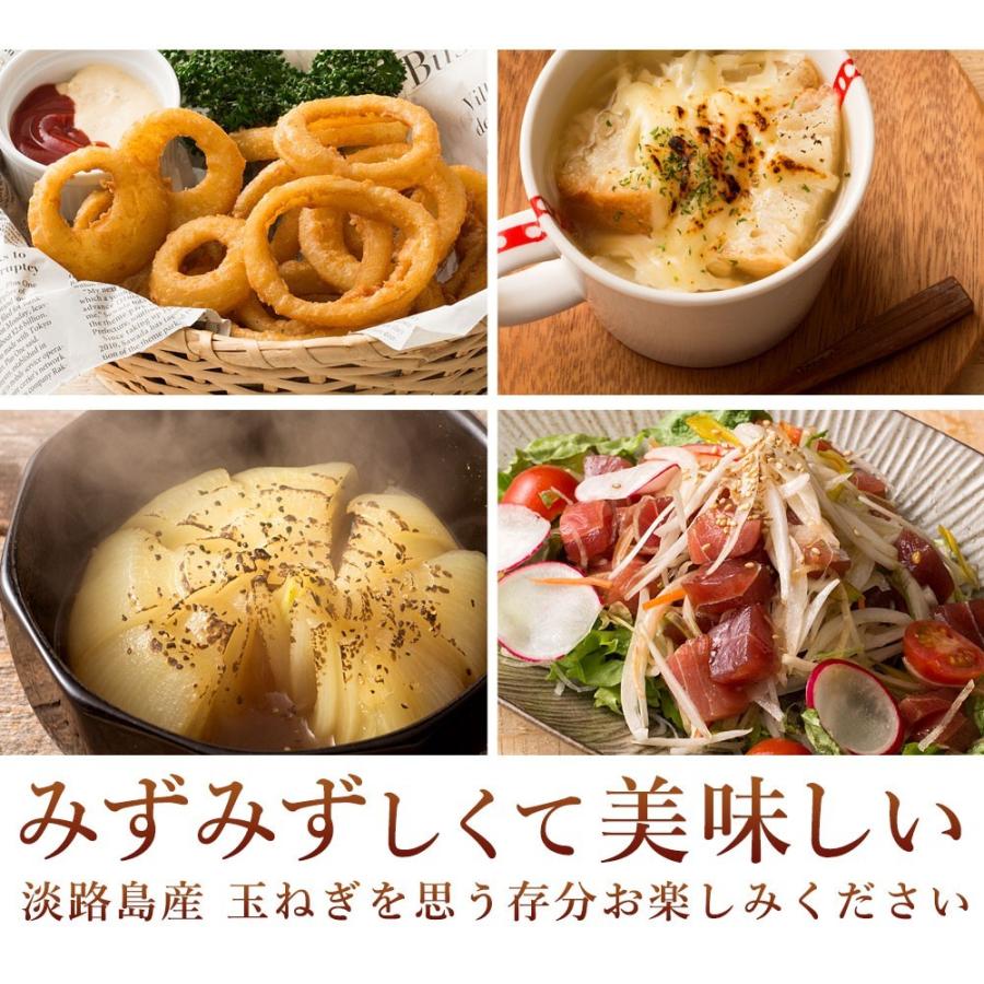 今井ファームの淡路島たまねぎ2kgとたまねぎ加工品のお試しセット