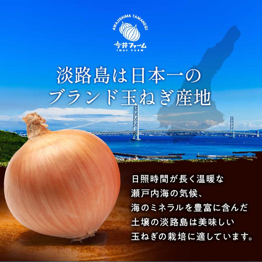玉ねぎ 10kg 淡路島 #特選 淡路島玉ねぎ10キロ＃ : 淡路島たまねぎ今井