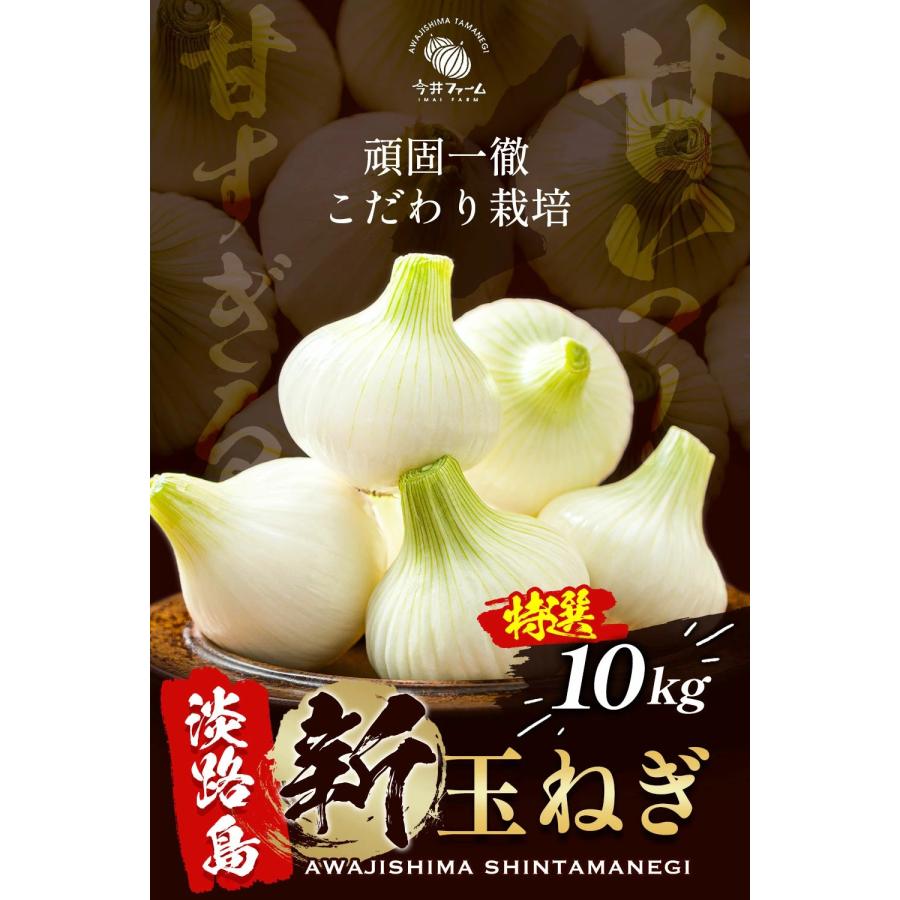 玉ねぎ 10kg 淡路島 新玉ねぎ #特選 淡路島玉ねぎ10キロ＃ : 淡路島