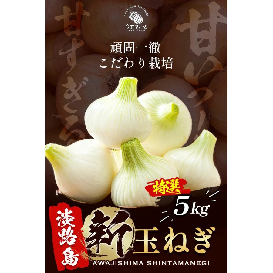 ♦️秀品10Kg 5Kg ♦️淡路島新玉ねぎ　たまねぎ　玉葱 玉ねぎ 淡路島 新玉ねぎ 5kg 【予約】＃特選 淡路島玉ねぎ 5キロ