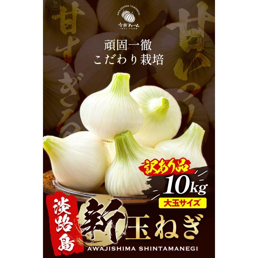 たまねぎ 新玉ねぎ 淡路島 10kg 訳あり 大玉 玉ねぎ 玉葱 今井 たまねぎ 新玉ねぎ 淡路島 10kg 訳あり 大玉 玉ねぎ 玉葱 今井