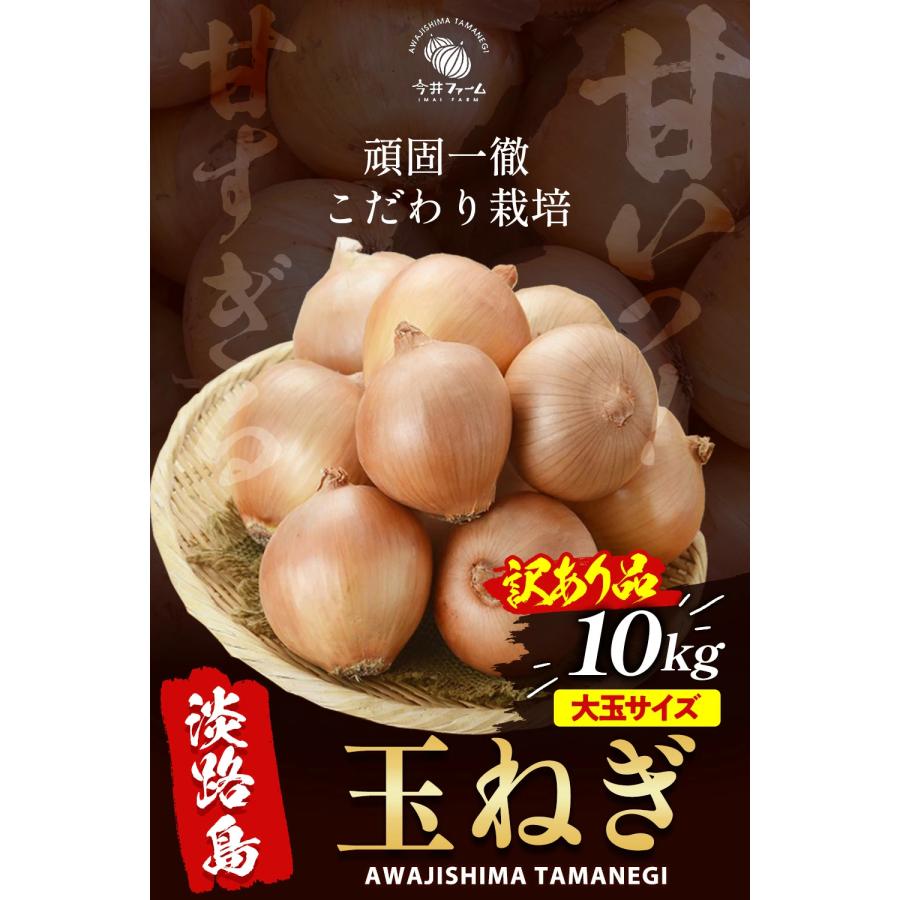 玉ねぎ 10kg 大玉 (2L/Lサイズ) 淡路島 たまねぎ 玉葱 ＃大玉たまねぎ