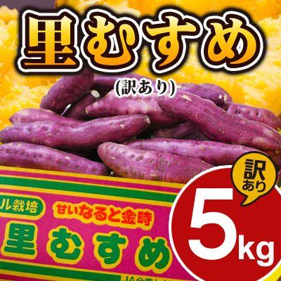 鳴門金時 さつまいも 里むすめ 訳あり 5kg 徳島県産 里浦産 不揃い 芋