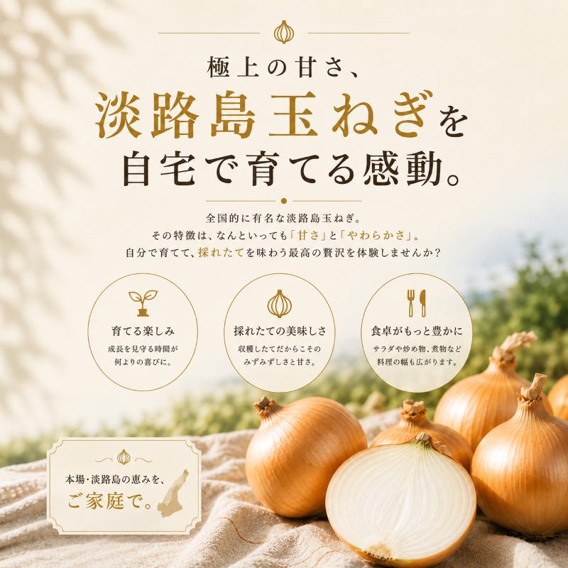 予約商品】淡路島産たまねぎ苗早生品種七宝 ＃玉ねぎ苗300本七宝