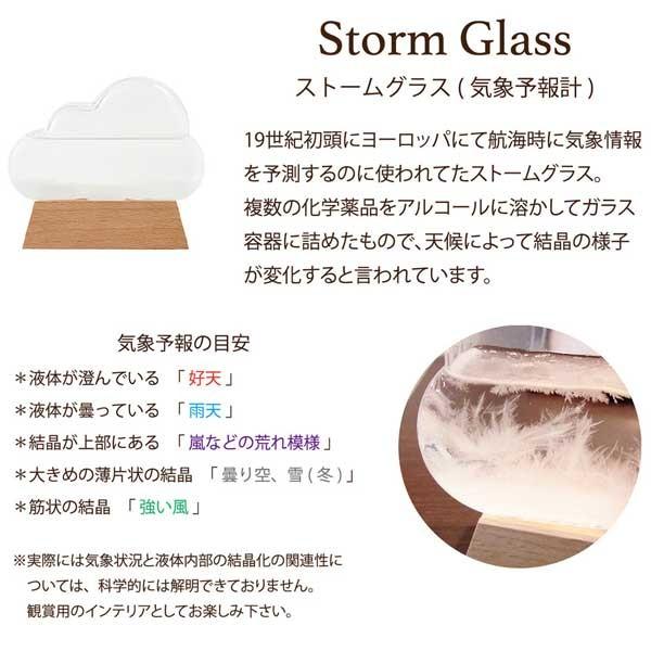 Fun Science（ファン・サイエンス） 【入荷待ち】 ストームグラス気象