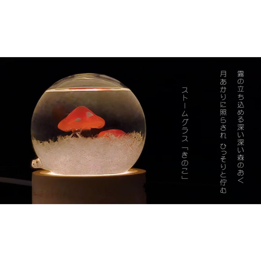 ハンドメイド品 蓄光石/蓄光キノコ/ストームグラス+USBブラックライト Fun Science（ファン・サイエンス） ストームグラス きのこ 333-410