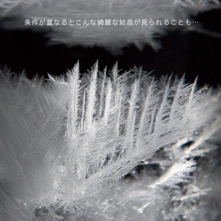 Fun Science（ファン・サイエンス） ストームグラスセット スノーマン