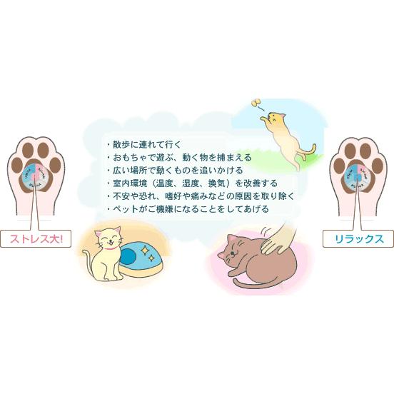ストレスチェッカー 肉きゅうパッチ 犬用 猫用 郵送可 3 いま何度 通販 Yahoo ショッピング