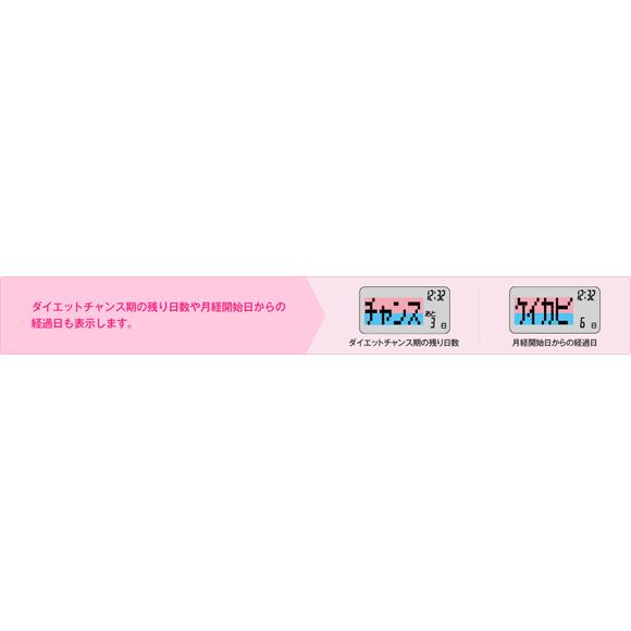 カロリズム 活動量計 タニタ 消費カロリー計 カロリズムLADY AM-131