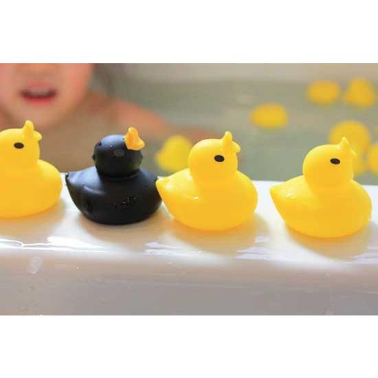 あひる 9993105【オオイシ】あひるちゃんBIG 1個 鳥専門店 BIRD MORE