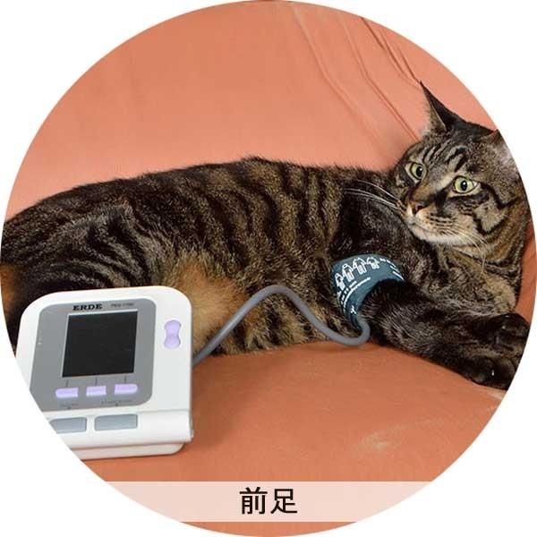 ペット 血圧計 PES-1700 エルデ 犬 猫 小型 動物 一般医療機器 ペット 血圧計 PES-1700 エルデ 犬 猫 小型 動物 一般医療機器
