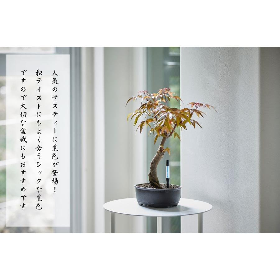 水やりチェッカー サスティー 水分計 植物 土壌 土 挿す S/M/L 〒郵送