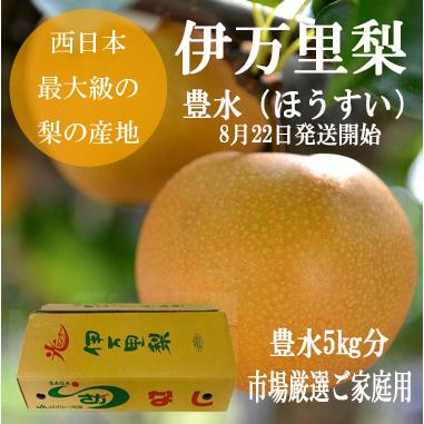 伊万里梨豊水】ご家庭用 5kg（12玉前後） 伊万里青果市場直送