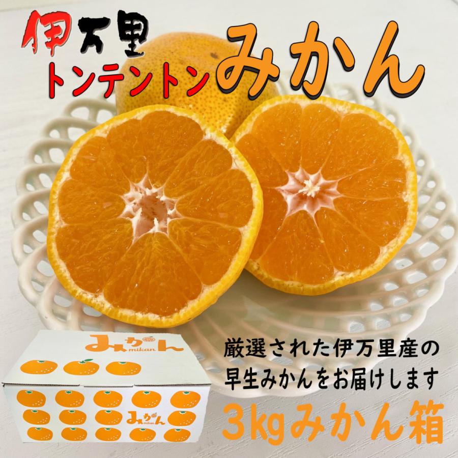 3キロ箱 伊万里産トンテントンみかん 送料無料 Nakagai0022 伊万里ん八百屋 通販 Yahoo ショッピング