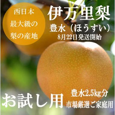 特売【伊万里梨豊水】ご家庭用2.5kg（5・6玉）伊万里青果市場直送