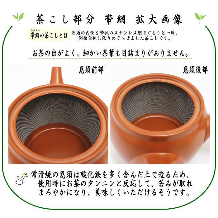 急須 常滑焼き とこなめ焼き 朱泥 帯網 帯アミ 約800ml 45号 日本製