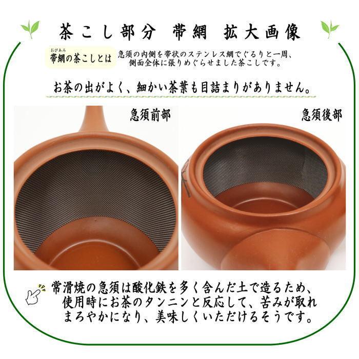 急須 常滑焼き とこなめ焼き 朱泥 牡丹 帯網 帯アミ 約540ml