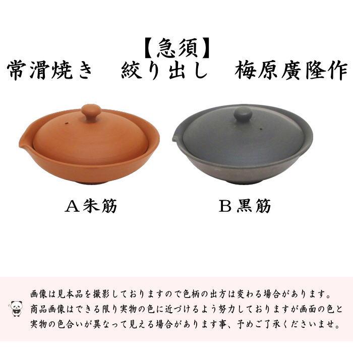 煎茶器 急須 常滑焼き 宝瓶 ほうひん 絞出し 朱又黒 60ml 梅原廣隆作