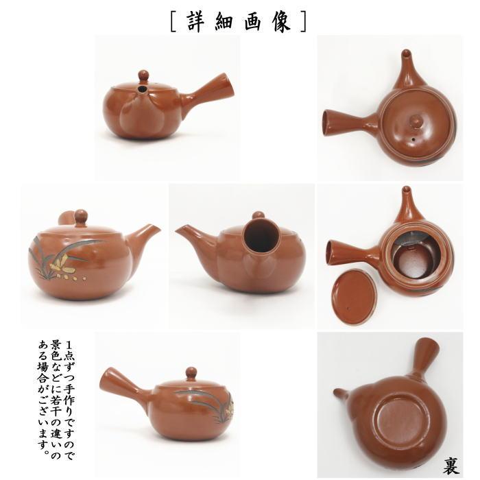急須 常滑焼き とこなめ焼き 朱泥 ラン 約540ml 常滑焼 とこなめ焼