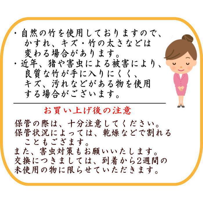 【未使用】　谷村丹後　柄杓　ひしゃく　茶道具　表千家　裏千家　竹　工芸 茶道具 柄杓 上 風炉用又は炉用 谷村丹後作 伝統工芸士 : 茶道具いまや