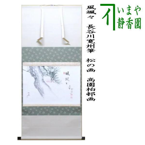 【画賛掛け軸】山ぶどう画「涼風颯々聲」 茶道具 掛軸 掛け軸 横軸画賛 風颯々 松風颯々声 長谷川寛州筆 松の画