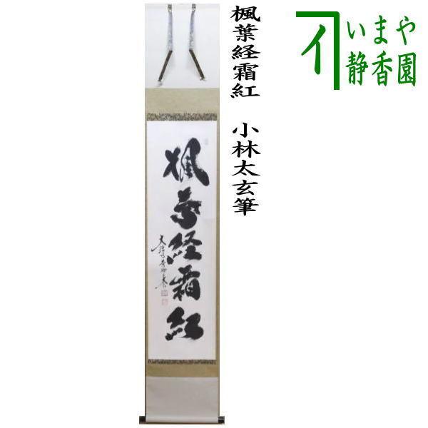 茶道具 掛軸 掛け軸 一行 楓葉経霜紅 小林太玄筆 茶道 : 茶道具いまや