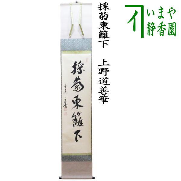 【真筆保証】 上野道善 直筆 鶴舞千年松 東大寺管長 華厳宗 茶掛 茶道具 奈良 茶道具 掛軸 掛け軸 一行 採菊東籬下 上野道善筆 茶道 : 茶道具いまや