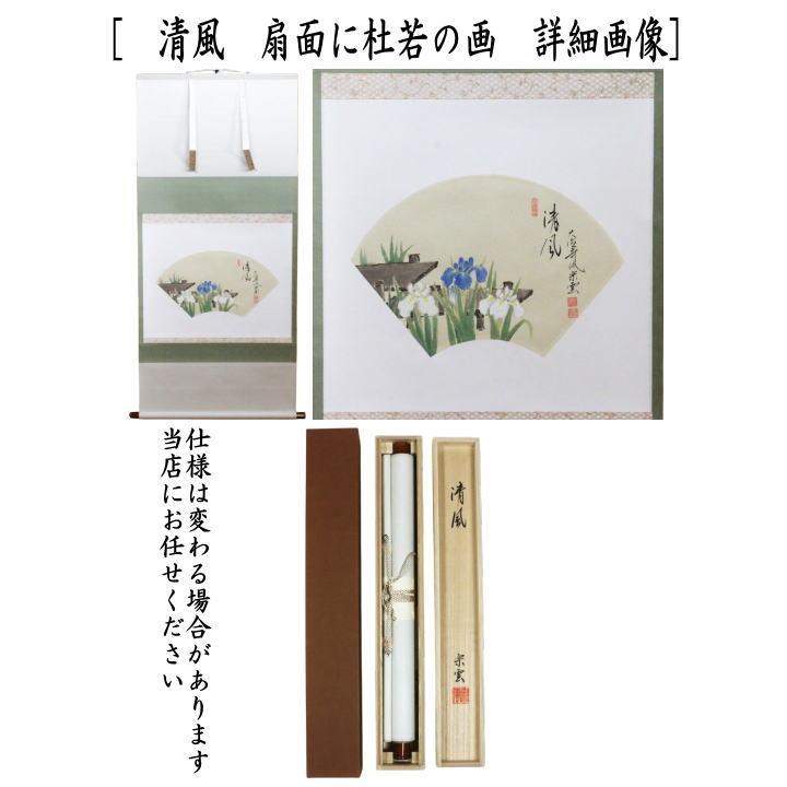 茶道具 掛軸 掛け軸 横軸画賛 清風 扇面に杜若の画 辻宗雲筆 : 茶道具