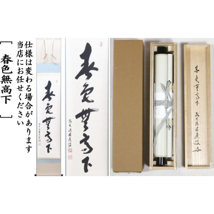 茶道具 掛軸 掛け軸 一行 春色無高下 福本積應筆 茶道 : 茶道具 茶道具 掛軸 掛け軸 一行 春色無高下 福本積應筆 茶道 : 茶道具