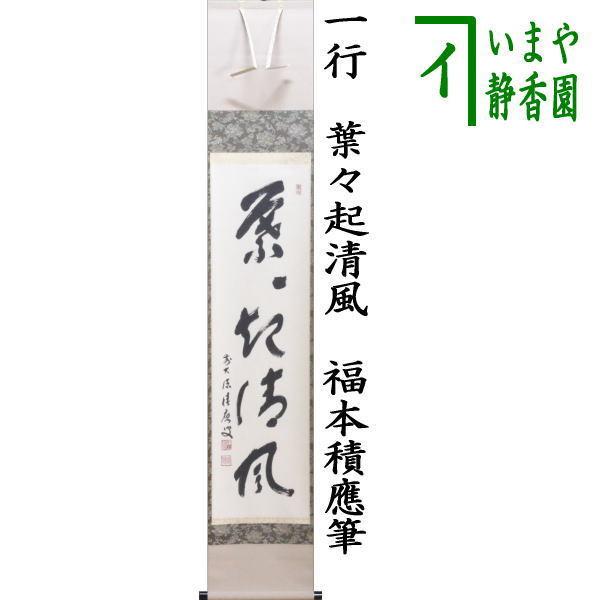 茶道具 掛軸 掛け軸 一行 葉々起清風 福本積應筆 茶道 : 茶道具いまや