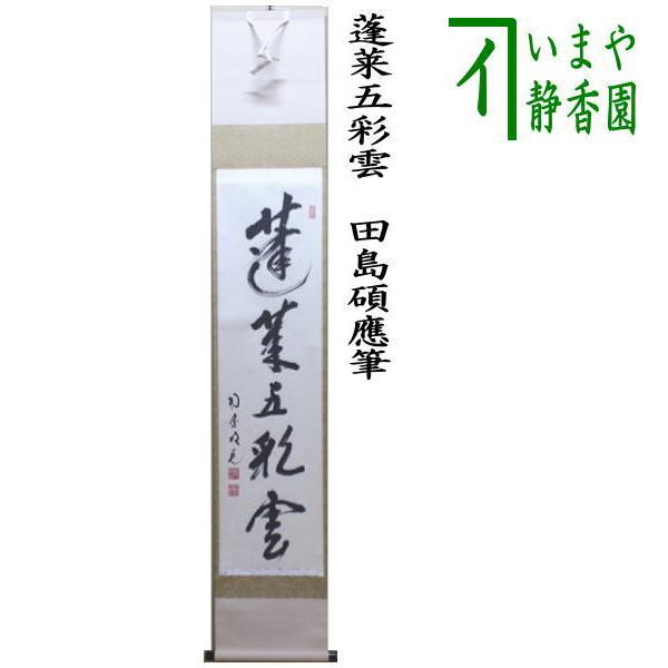 茶道具 掛軸 掛け軸 田島碩應筆 一行 オリジナル 蓬莱五彩雲