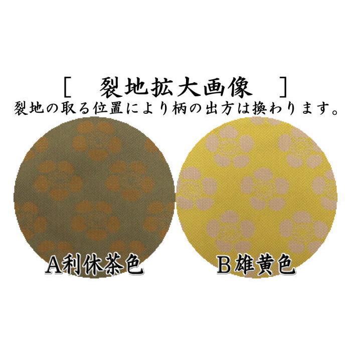 茶道具 古帛紗 正絹 唐物帛紗 紹巴織り 紹巴利休こぼれ梅模様 利休茶色