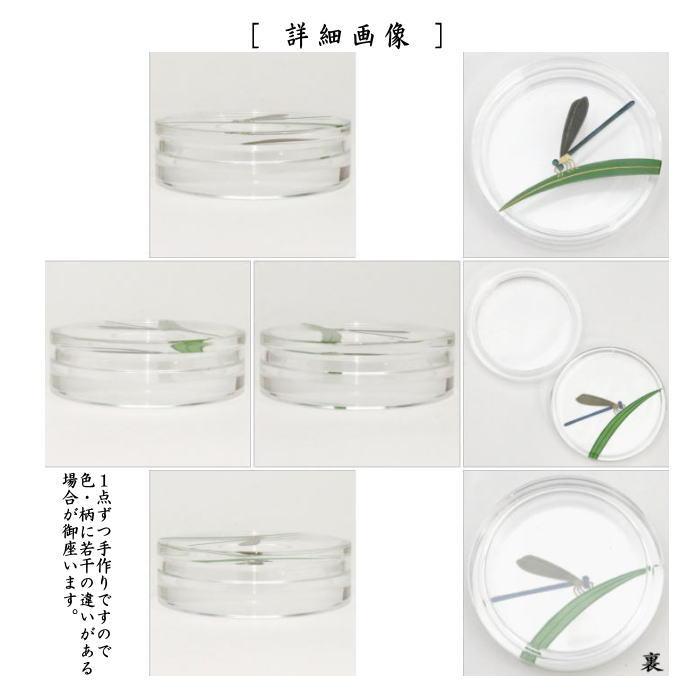 茶道具 香合 アクリル香合 糸蜻蛉蒔絵 中嶋宗峰作 有機ガラス製 茶道具 香合 アクリル香合 糸蜻蛉蒔絵 中嶋宗峰作 有機ガラス製