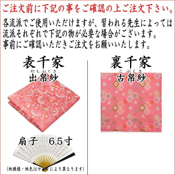 茶道具 入門者セット 初心者セット 入門者5点セット ビオポーチ付き 2