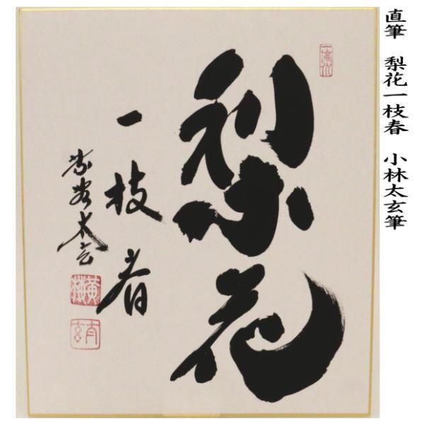 茶道具 色紙 直筆 薫風自南来又は梨花一枝春 小林太玄筆 茶道 : 茶道具