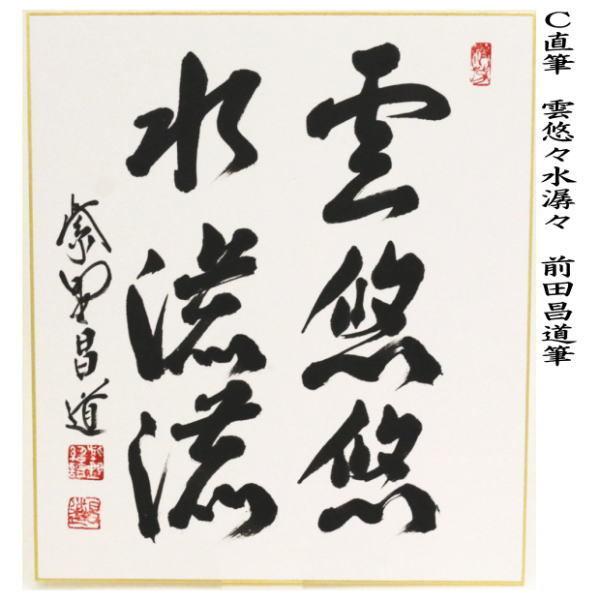 茶道具 色紙 直筆 清風在竹林又は夏雲多奇峰又は雲悠々水潺々又は雲収