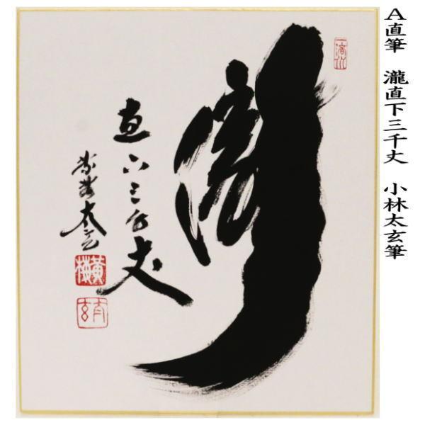 茶道具 色紙 直筆 瀧直下三千丈又は白雲抱幽石又は瀧 小林太玄筆