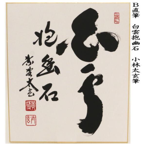 茶道具 色紙 直筆 瀧直下三千丈又は白雲抱幽石又は瀧 小林太玄筆