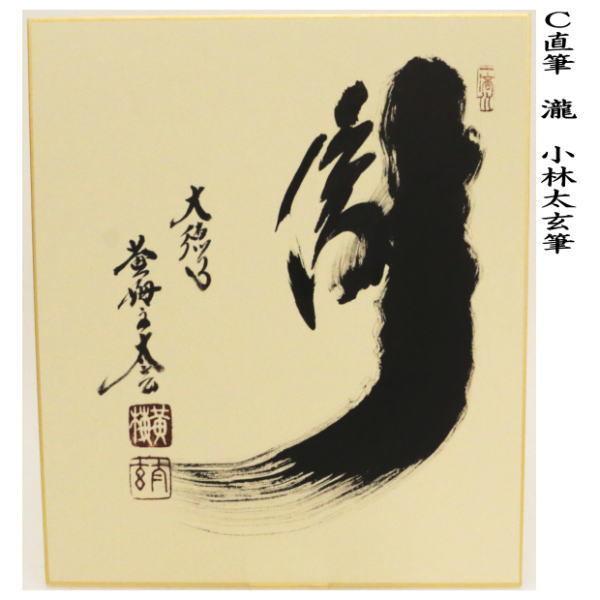 茶道具 色紙 直筆 瀧直下三千丈又は白雲抱幽石又は瀧 小林太玄筆