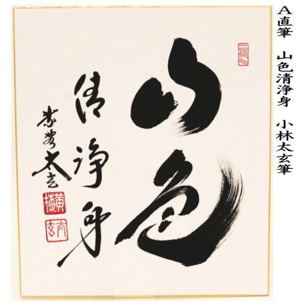 大徳寺小林太玄筆 春水満四澤 共箱 大徳寺塔頭 小林