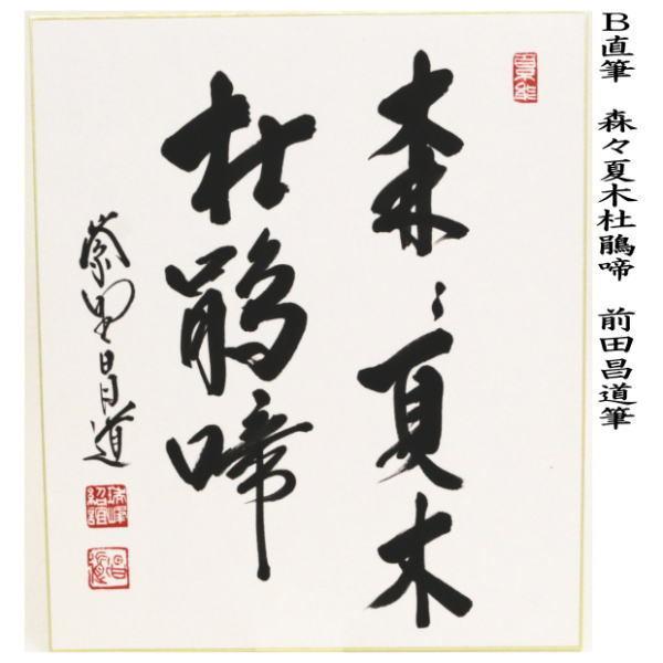 茶道具 色紙 直筆 水上青々翠又は森々夏木杜鵑啼 前田昌道筆