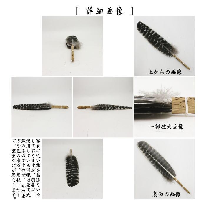 茶道具　羽箒　茶道教室 茶道具 炭道具 羽箒 唐国鳥 炉用 茶道 : 茶道具いまや静香園 - 通販